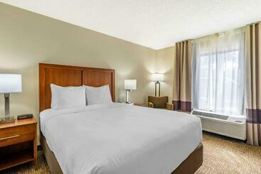 فندق Comfort Inn & Suites St. Pete  Clearwater International Airport