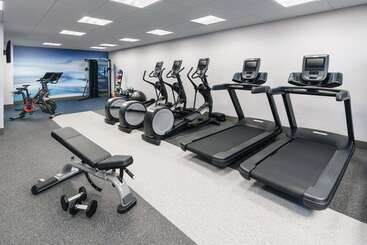 אתר נופש Hilton Garden Inn St. Pete Beach