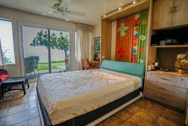 Kapa A Sands #10 Direct Oceanfront Studio Kauai