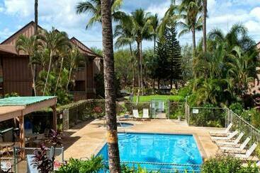 Kihei Bay Vista #d202
