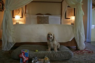 هتل San Ysidro Ranch A Rosewood Resort