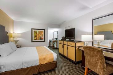هتل Cco  & Suites Downtown