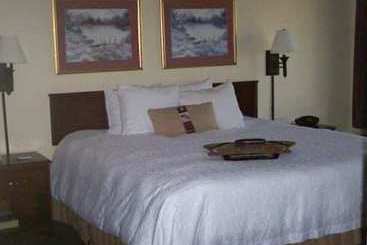 هتل Wyndham Garden Greenville Airport