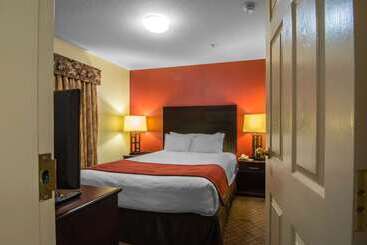 Отель Comfort Inn & Suites Airport South