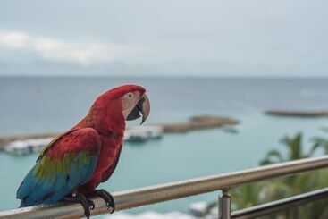 Hotel Icom Marina Sea View