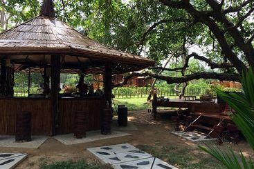 فندق Coffee And Resort