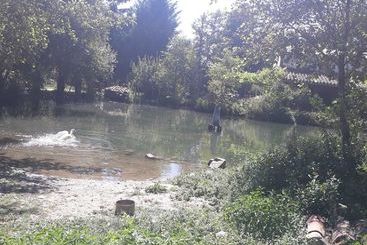مسافرخانه La Ribera