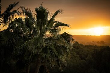 Finca Serena Mallorca, Small Luxury Hotels