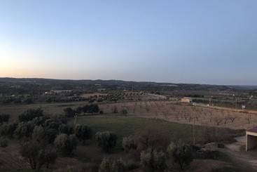 Lo Celler