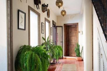 Las Palmeras Del Califa