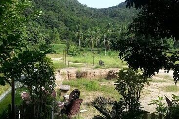 پانسیون The Tree Madauwan