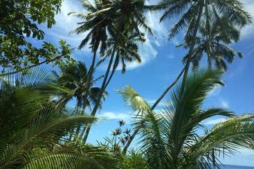 Hilo Bay Oceanfront Bed And Breakfast