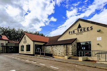فندق The Fir Trees