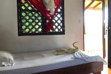 Coconut Hostel B&b