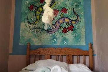 Coconut Hostel B&b