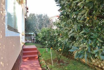 Apartments Nerina