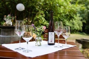 آپارتمانهای توریستها Weingut Haus Steinbach