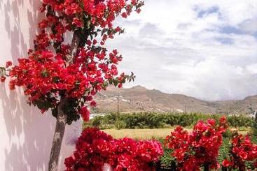 Dedalos Studios Naxos