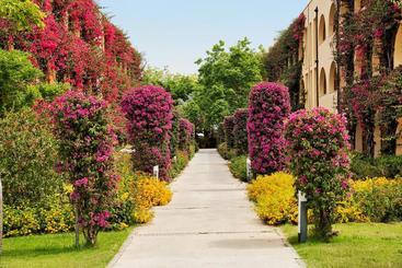 هتل Tui Magic Life Calabria   All Inclusive