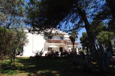 Apartments Corkovic
