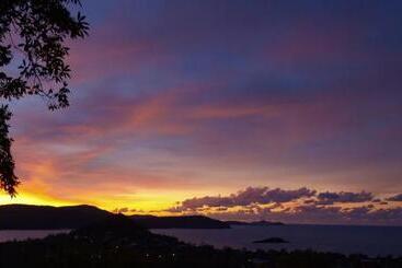 酒店 Whitsundays Rainforest Retreat