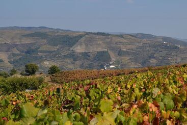 کلبه Quinta Dos Espinheiros