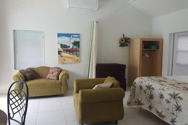 Sunflower Oasis