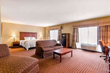 酒店 Quality Inn & Suites
