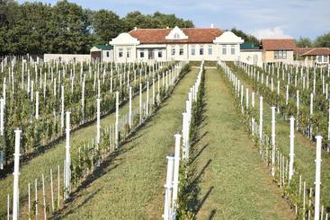 تختخواب و صبحانه Apartmani Bojeresku Negotin