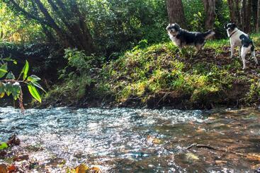 هتل Agroturismo Araize