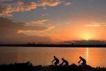 בית מלון כפרי Courtyard By Marriott Dallas Plano In Legacy Park
