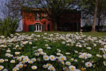B&b L'alberone