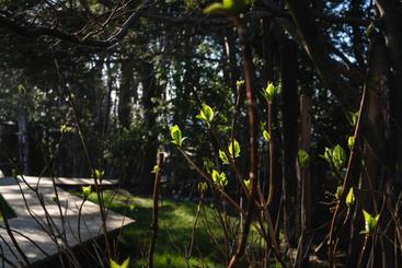 هتل Meular Chiloe