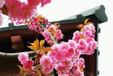ホテル Railway 1896 Garden