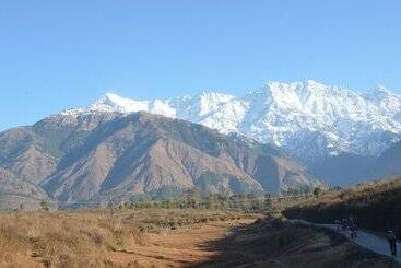 هتل Royal Green Buds