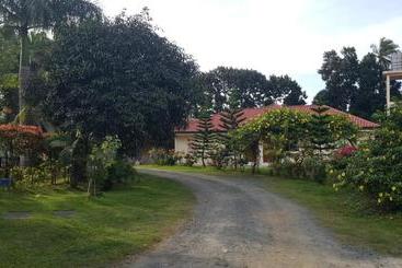 Phil Oasis  And Resorts