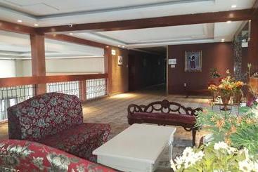 Phil Oasis  And Resorts