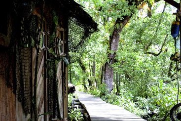 هتل Pacific Treelodge Resort