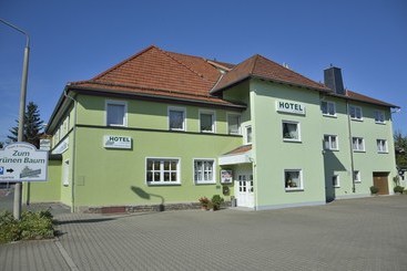 ホテル Und Gaststätte Zum Grünen Baum