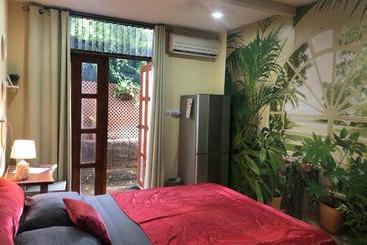 هاستل Toucan House