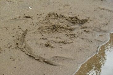 ホテル La Fauvette