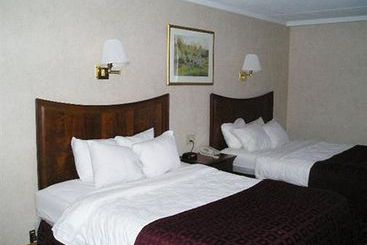 Clarion Hotel Buffalo Airport