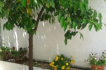 La Casita Del Corralon