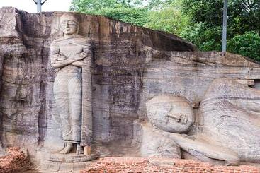 فندق Lion Resort