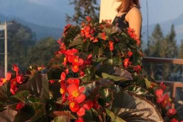 پانسیون Misty Hostel Sapa