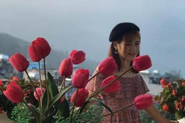 پانسیون Misty Hostel Sapa