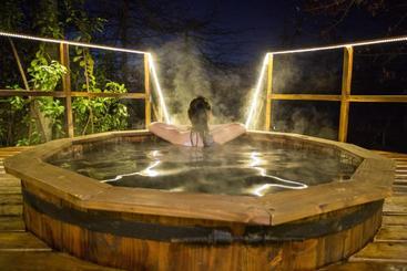 هتل Villarrica Park Lake By Enjoy