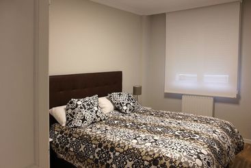 Apartamento Turistico Sanguesa