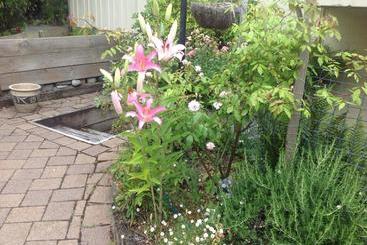 هتل Te Anau Lakefront B&b