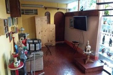 تختخواب و صبحانه Garden House Miraflores
